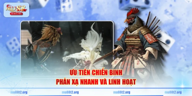 XIBET ưu đãi và phần thưởng